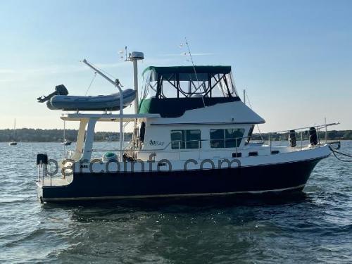Albin 33 Trawler ficha tecnica 